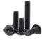 20 viti con testa a bottone e cavità esagonale, in 10,9 acciaio al carbonio, viti a testa cilindrica, colore originale, M5 x 16 mm