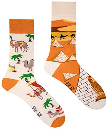 Spox Sox Casual Unisex für Damen und Herren – lustige, mehrfarbige, bunte, verrückte, unterschiedliche, gemusterte Socken für Individualisten, Gr. 36-39, Kamele