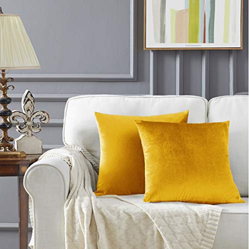 GIGIZAZA Kissenbezug Samt Kissenbezüge 50x50cm Dekorative Kissenhülle Zierkissenbezüge für Sofa Wohnzimmer Schlafzimmer und Auto 2er Set Gelb