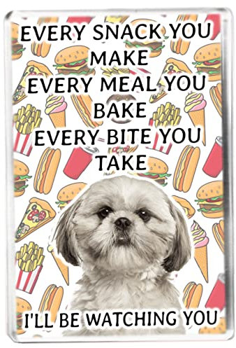 Every Snack You Make - Shih Tzu - Funny Pet Owner Quote - Dog Mum/Dad - Fridge Magnet - Novelty Gift