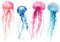 wandmotiv24 Fototapete Quallen Aquarell Bunt, XS 150 x 105cm - 3 Teile, Wanddeko, Wandbild, Wandtapete, Tier Abstrakt M5915