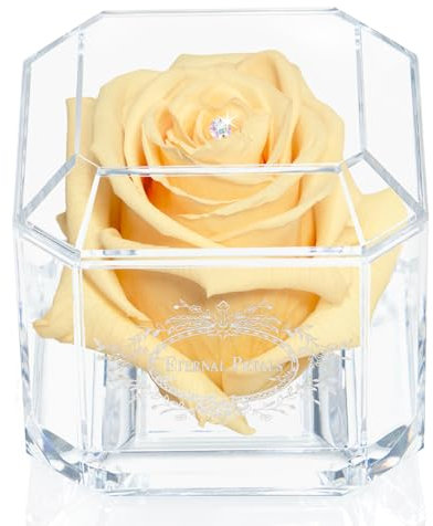 A 100% Real Rose That Lasts Years - Eternal Petals, Handmade in UK – White Gold Solo with A Multicolor Crystal (Champagne)