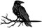 WADORN Krähe Rabe Auf AST Metall Kunstdekor Für Garten Vogel Tier, Silhouette Pfahl Outdoor Dekor Geschenk Für Baum Hof Garten Terrasse Einweihung Home Art Decor