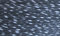 Irish Linen Echtes 1 Spule für 1 Queue