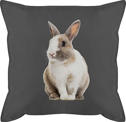 Kissen 50x50 - Osterkissen - Hasenmotiv Ostern Hase Motiv Hasen I Oster Hase I Osterhase - 50 x 50 cm - Grau - mit osterkissenzüge ostergeschenke hasi schmusekissen 50×50 osterartikel ostern￼