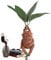 Syfunlv Harry Potter Mandrake-Pflanze für eine authentische Garten-Dekoration - 13 * 5cm Harz-Mandrake-Figur Harry Potter Toys Collectible Figures - for Kids & Adults