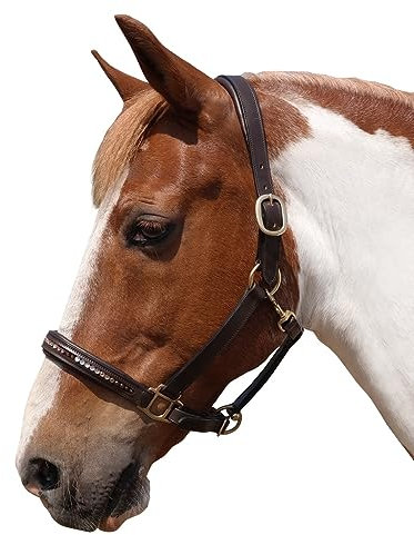 Brama West Pferderhalfter Leder Halfter „Indian Summer“ mit Strasssteinen, Gr. Full
