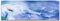 Paul Sinus Art Panoramabild auf Leinwand und Keilrahmen 120x40cm Pusteblume Löwenzahn Windstoß Blaufilter
