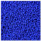 5 g Miyuki Delica Rocailles Seed Beads, 11/0 (1.6 mm) Opaque Matte Cyan Blue (Miyuki Delica Rocailles Samenperlen Opake blaue matte)
