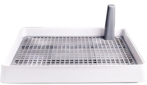 Pot pour chien Corgi anti-éclaboussures, urinoir pour chien de petite et moyenne taille