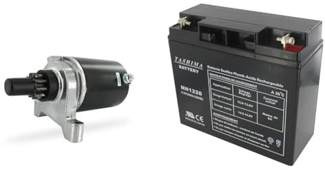 GREENSTAR - Démarreur Electrique - 10 Dents - Pièce De Rechange Adaptable Pour Certains Moteurs & TASHIMA - Batterie 12V 20AH NH1220 Motoculture - Technologie Plomb Étanche Gel Sans Acide