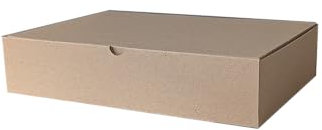 Klappdeckelkarton DHL klein 350 x 250 x 80 mm Päckchen Versandkarton Schachtel Kiste (25)