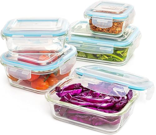 Moss & Stone 10 recipientes de vidrio de borosilicato para preparación de comidas, tapas 100% a prueba de fugas, herméticos y sin BPA, aptos para congelador, microondas y horno (solo vidrio), juego de