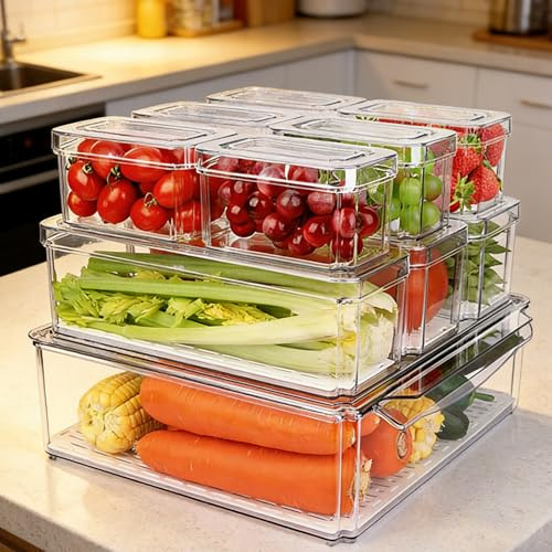 NGOSUET 10 Stück Kühlschrank Organizer mit Deckel, 3 Größe Aufbewahrungsbox Kühlschrank Boxen Fridge Organizer, Kühlschrankboxen Transparent für Küche, Schränke, Schublade