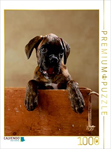 CALVENDO Puzzle Gonzo - Deutscher Boxer, 11 Wochen | 1000 Teile Lege-Größe 48 x 64 cm Foto-Puzzle für glückliche Stunden