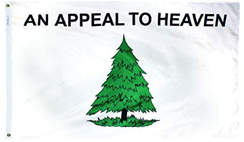 Annin Flagmakers 319728 Historische Flagge, mehrfarbig