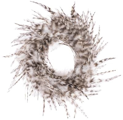 GLOREX 6 3821 300 - Dekokranz aus Hahnenfedern, ca. Ø 18 cm großer Federkranz, geeignet als Tisch-, Wand- oder Türschmuck