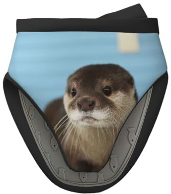 Niedliche Otter Mini-Ofenhandschuhe aus Silikon, hitzebeständig, Küchenhandschuhe, Geschenk, zum Kochen und Backen