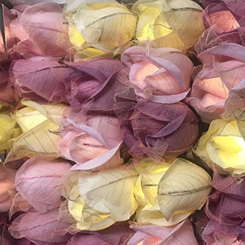 Blaze On Chelsea Rose Fairy Lights (Pink Tones) – 20 Warm White LED Lights – Handcrafted Roses Created from Mulberry Paper – USB Powered with UK 3-Pin Adapter – Indoor String Lights