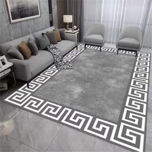 RUGMRZ Teppich Für Esszimmer 200X250Cm Kurzflor 10 Grau Waschbar Landhaus Deko Wohnzimmer Modernes Und Minimalistisches Sofa Schlafzimmer
