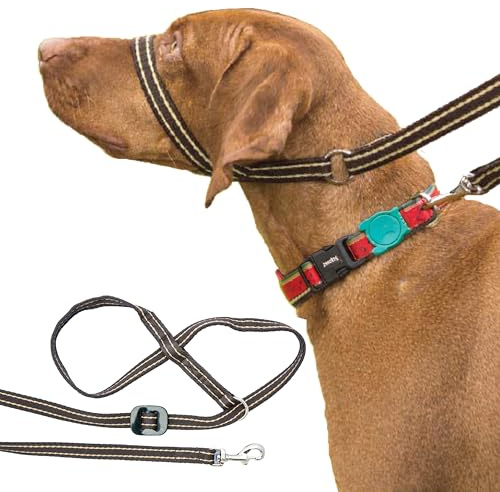 Gencon - Clip-to-Collar Dog Headcollar and Lead - Trainer Approved - One Size Dog Training & Behaviour Aid - Soft & Gentle Design with Trigger Clip - Left - Made in Britain - Coffee/Cream