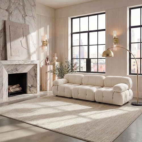 SAFAVIEH Vision Area Rug 8x10 Large, Modern Tonal Cream VSN606F