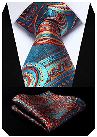 HISDERN Herren Krawatte Hochzeit Paisley Krawatten Taschentuch Blumen Elegant Klassisch Krawatte & Einstecktuch Set