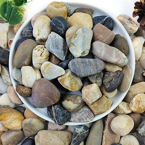 YISZM 2lbs Aquarium Rocks, 5/8 Natural Mixed Pebbles for Plants Decorative Polished River Rocks for Fish Tank, Landscaping, Gardening, Flower Pots, Vase Fillers, Indoor Water Fountains,