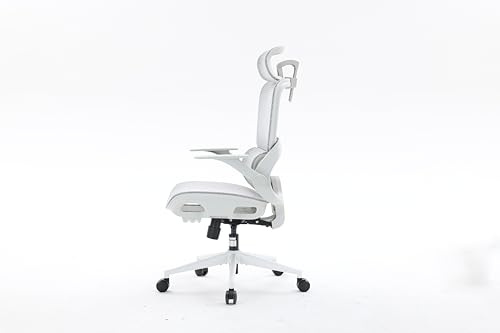 SIHOO Chaise de Bureau Ergonomique, Appui-tête et Accoudoirs Réglables 2D, Chaise d'Ordinateur en Maille Respirante