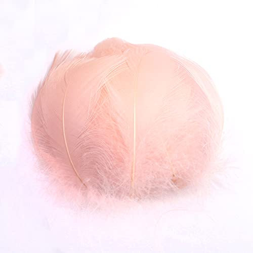 100 Stück Bunte Feder zum Basteln Naturfedern Gänsefedern Indianer Bastelfedern für DIY Kunstwerk Masken Hüte Ohrringe Haarschmucken Traumfänger Hochzeit Karneval Party Dekor,5-8cm Champagner-Rosa