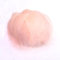 100 Stück Bunte Feder zum Basteln Naturfedern Gänsefedern Indianer Bastelfedern für DIY Kunstwerk Masken Hüte Ohrringe Haarschmucken Traumfänger Hochzeit Karneval Party Dekor,5-8cm Champagner-Rosa