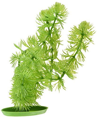 Marina Plantas Plásticas Aquascaper Medianas Cabomba, 20 cm