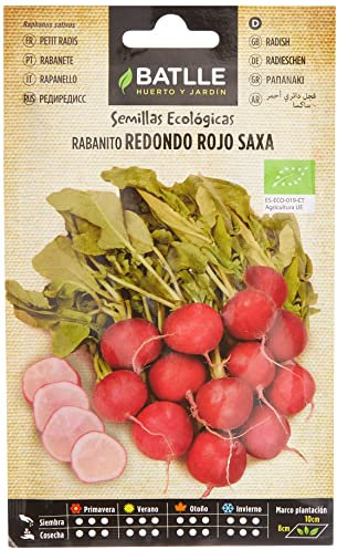Semillas Batlle Rabanito Red rojo SAXA - ECO