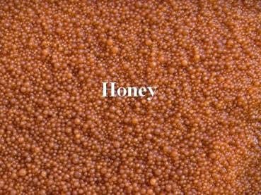 Axogravel Honey 5Kg, Spezialbodengrund für Axolotl