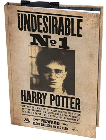 Harry Potter 3D Notizblock A5 liniert - Deckblatt 3D mit Harry Potter Steckbrief