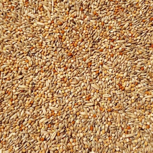 Supravit Wellensittichfutter Zucht 25 kg - die ideale Zuchtmischung