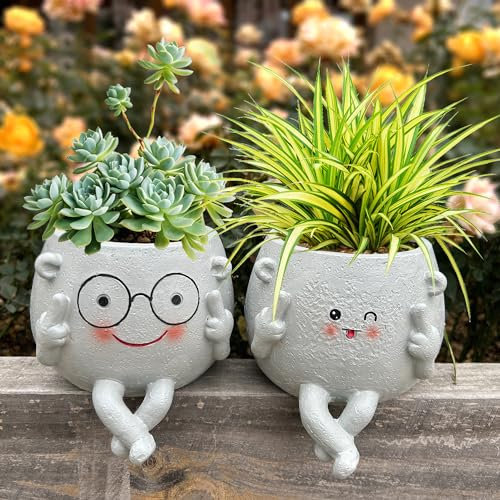 Lovely Ran Lot de 2 pots de fleurs à suspendre pour orchidée - Gris - Mignon visage - Lunettes en résine - Pour intérieur et extérieur - 12 x 13 cm