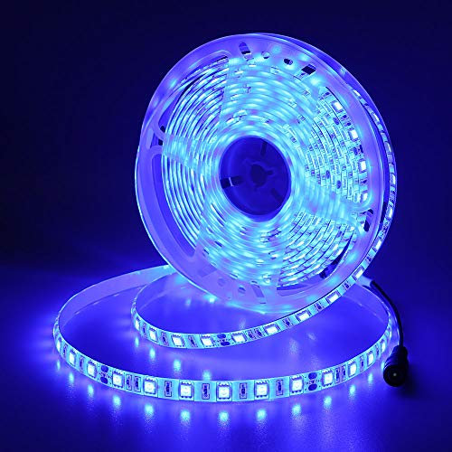 JOYLIT 24V Tiras LED Iluminación Azul 300 LEDs SMD5050, 5M IP65 Impermeable Luces LED para Armario, Dormitorio, Muebles, Cocina