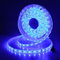 JOYLIT 24V LED Streifen 5M Blau 460-465nm IP65 Wasserdicht, 300LEDs 5050 SMD Light Strip Selbstklebend Dimmbar Licht Band Beleuchtung für Küche, Boot, Auto usw (Ohne Netzteil)