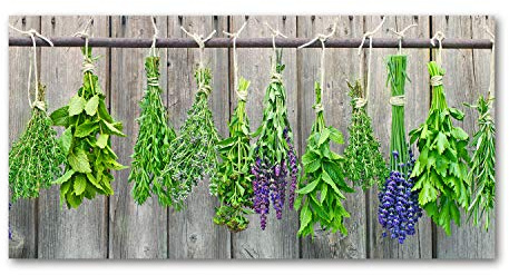 Tulup Splashback 55.12x27.56 inch / 140x70 cm Splash back Kitchen Panel Toughened Safe Glass Tempered Glass Panel Wall Protection Induction Cooker Kitchen - Green - herbs on string