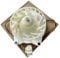 EAU64824805 Refrigerator Evaporator Fan Motor (OEM) for LG Refrigerator. DC12V 1A Refrigerator Motor Freezer Fan Z40E12MS1A0-57K06A Refrigerator Cooling Fan Motor