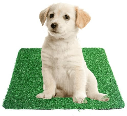 Tappetino in Erba Lavabile, Tappetino in Erba Artificiale, Erba Artificiale per Cani, Tappetini per L'addestramento di Cani, Adatto per Animali di Piccola e Media Taglia, 51.5cm x 40cm