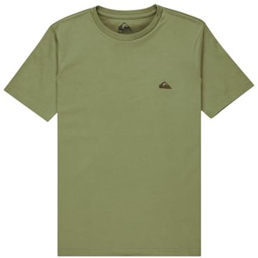 Quiksilver Kurzarm-T-Shirt, Basic SS, für Jungen, 8-16 Jahre, Grün, 12