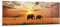 Panorama Bilder auf Glas Elefanten Safari Dschungel Busch Glasbild 140x50cm Wandbilder Dekoration Wohnzimmer Schlafzimmer Küche Groß XXL Wanddeko Bild im Glas Wand Kunstdruck Art Modern GAB140x50-3150