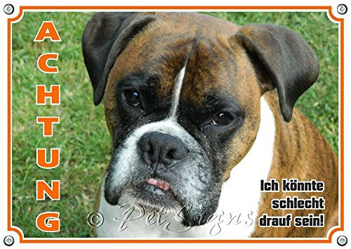 Petsigns Hundewarnschild Deutscher Boxer - Metallschild - dauerhaft haltbar, DIN A3