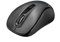 Trust Siero Silent Wireless Maus (ohne Klickgeräusche, Beidhändig, DPI-Schalter bis zu 2400 DPI, Verstaubarer Mikro-USB-Empfänger) - Schwarz