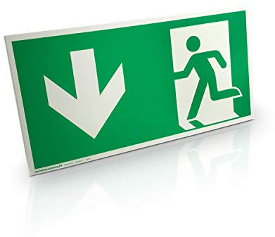 Notausgangsschild „links abwärts“ - Aluminium, langnachleuchtend - 30,0 x 15,0 cm - Gemäß ASR A1.3 DIN 7010 DIN 67510 - Rettungsweg, Fluchtweg - Betriebsausstattung24®