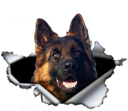 GAETOYEN Autoaufkleber Hund Personalisiert 15 cm Deutscher Schäferhund Autoaufkleber Zerrissenes Metall Aufkleber Reflektierende Aufkleber Auto Stoßstange Kofferraum Heckscheibe Dekor Haustie