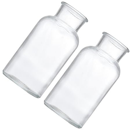Warmhm 2pcs Diy Reagent Bottles Glass Jars Experiment Glass Bottle Tea Can Flower Bin Flower Jug Vase