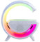 Sunrise Alarm Clock, RGB Bluetooth Speaker Alarm Clock with Wireless Charging Bluetooth Speaker, 3 in 1 Multifunction Wireless Speaker with Alarm Clock for Bedroom